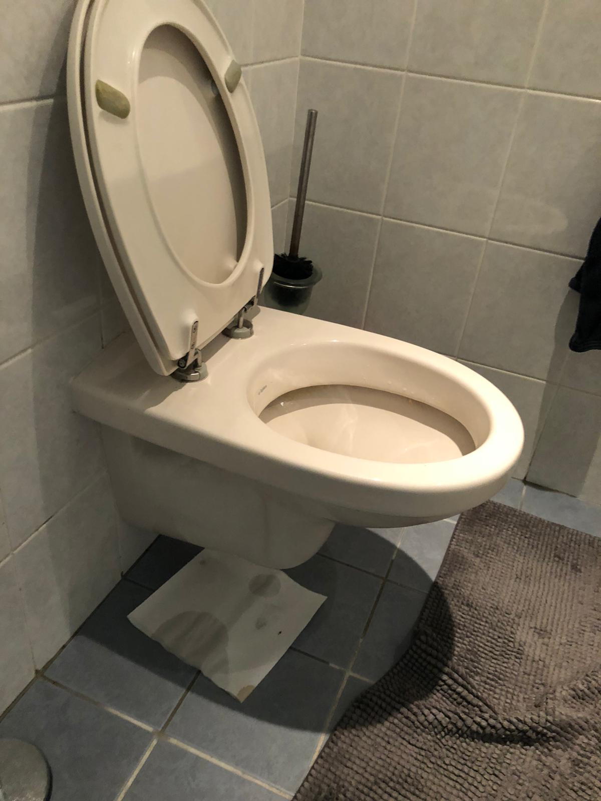 hangtoilet Haastrecht
